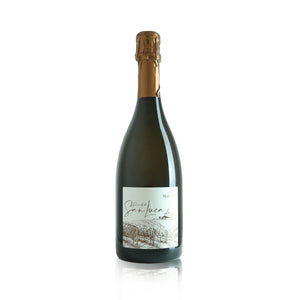 Ricordo di San Luca Pignoletto DOC Spumante Brut